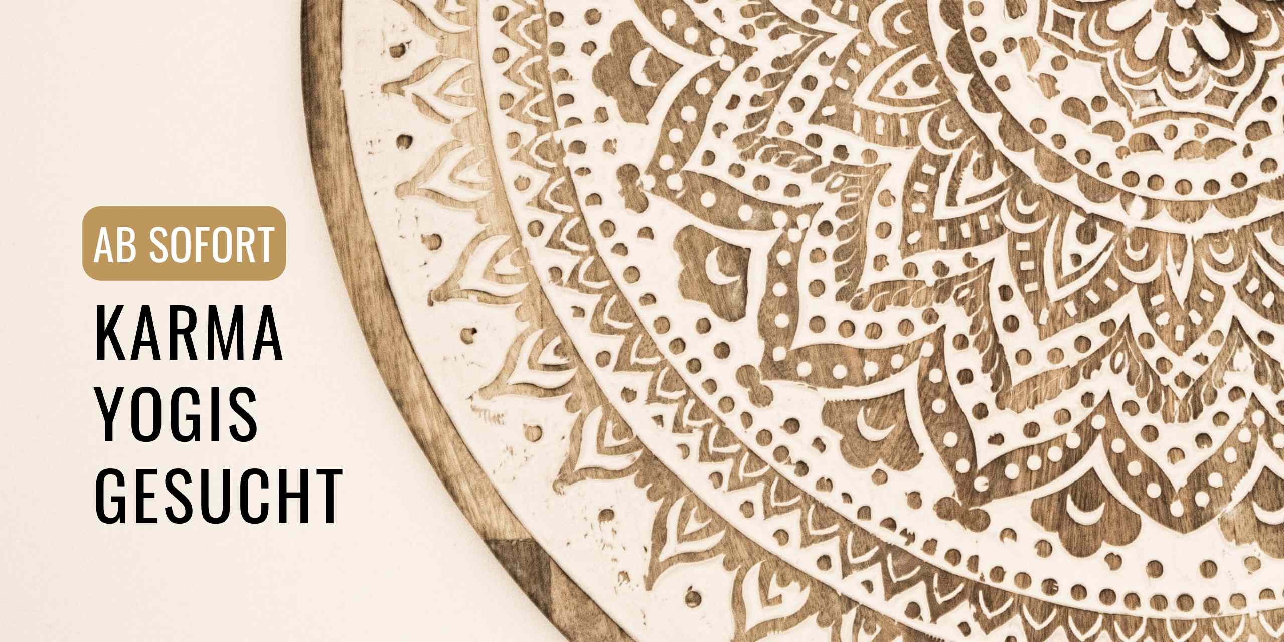 Karma Yogis im bodhi Studio gesucht