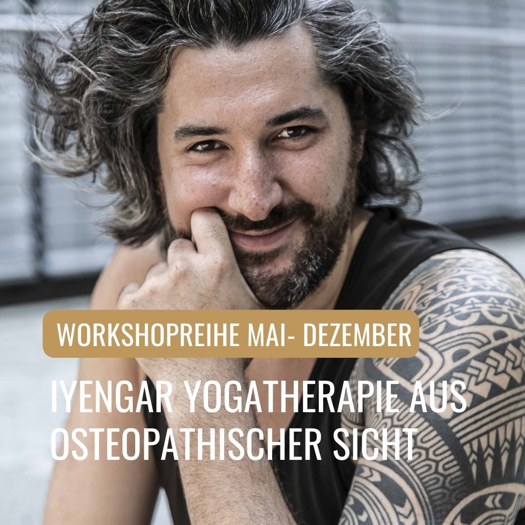 Stefan Steinshorn Iyengar Workshop Beitragsbild Webseite