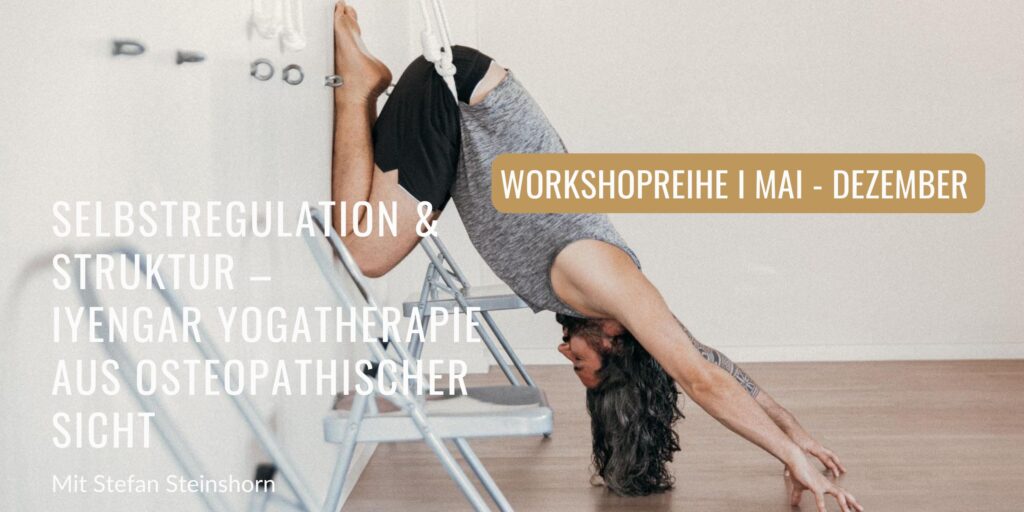 Steafn Steinshorn Workshopreihe